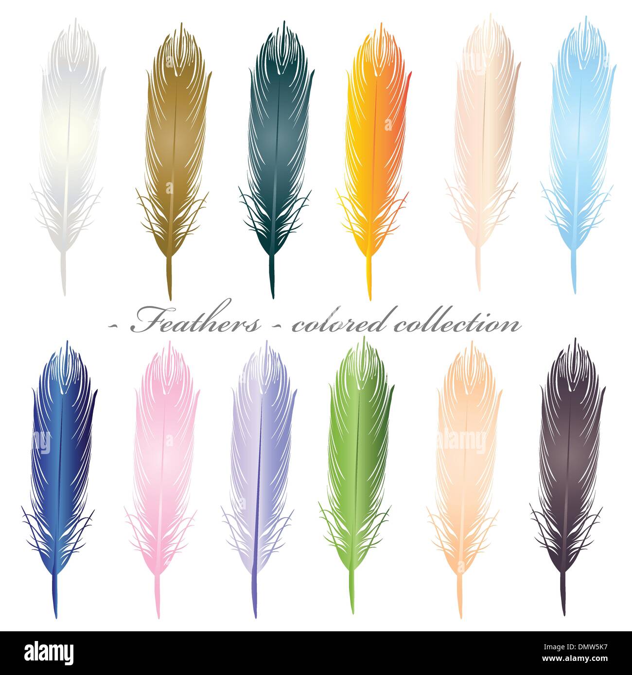 Piume collezione colorata su bianco Illustrazione Vettoriale