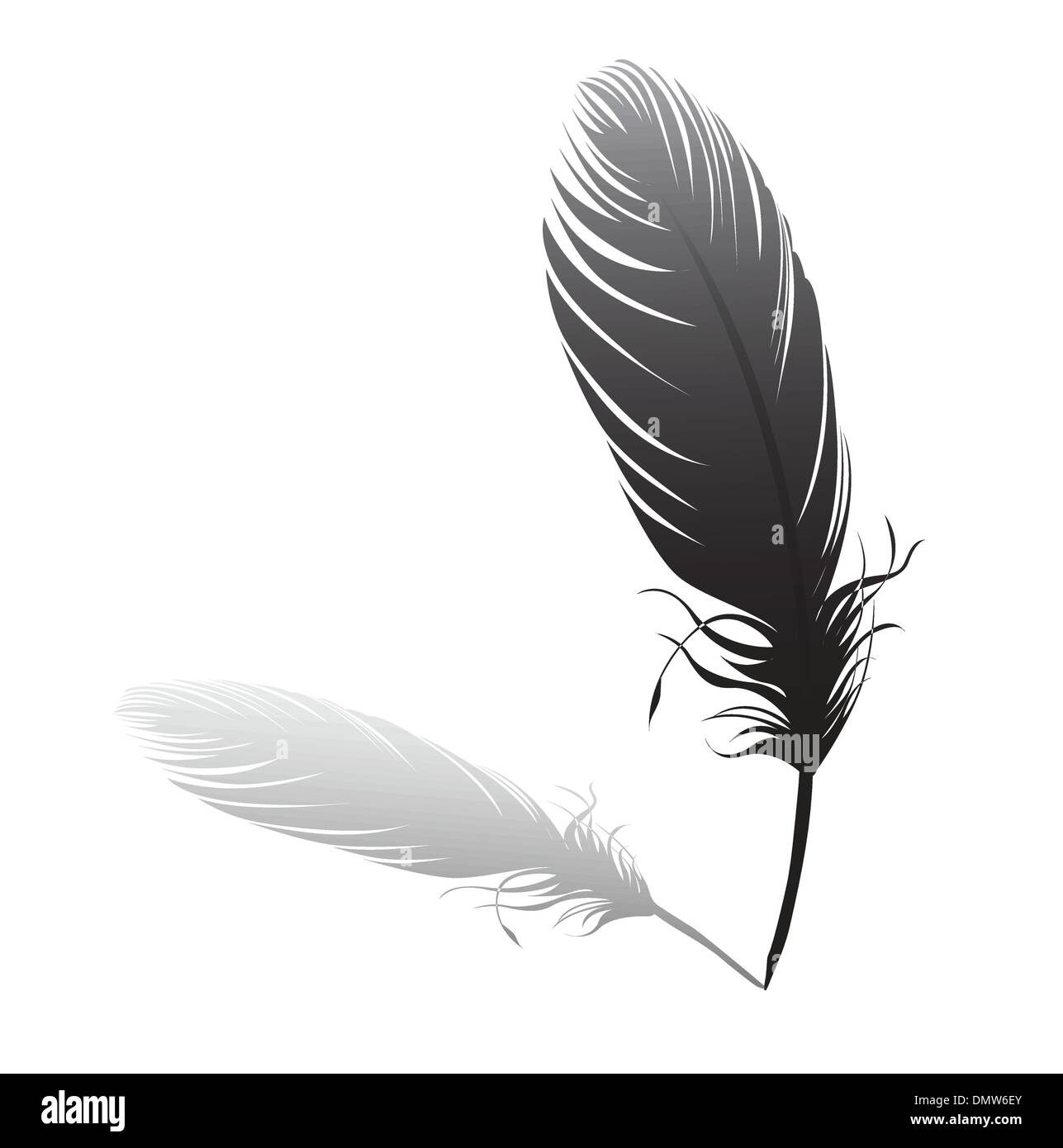 Giù su sfondo bianco Illustrazione Vettoriale