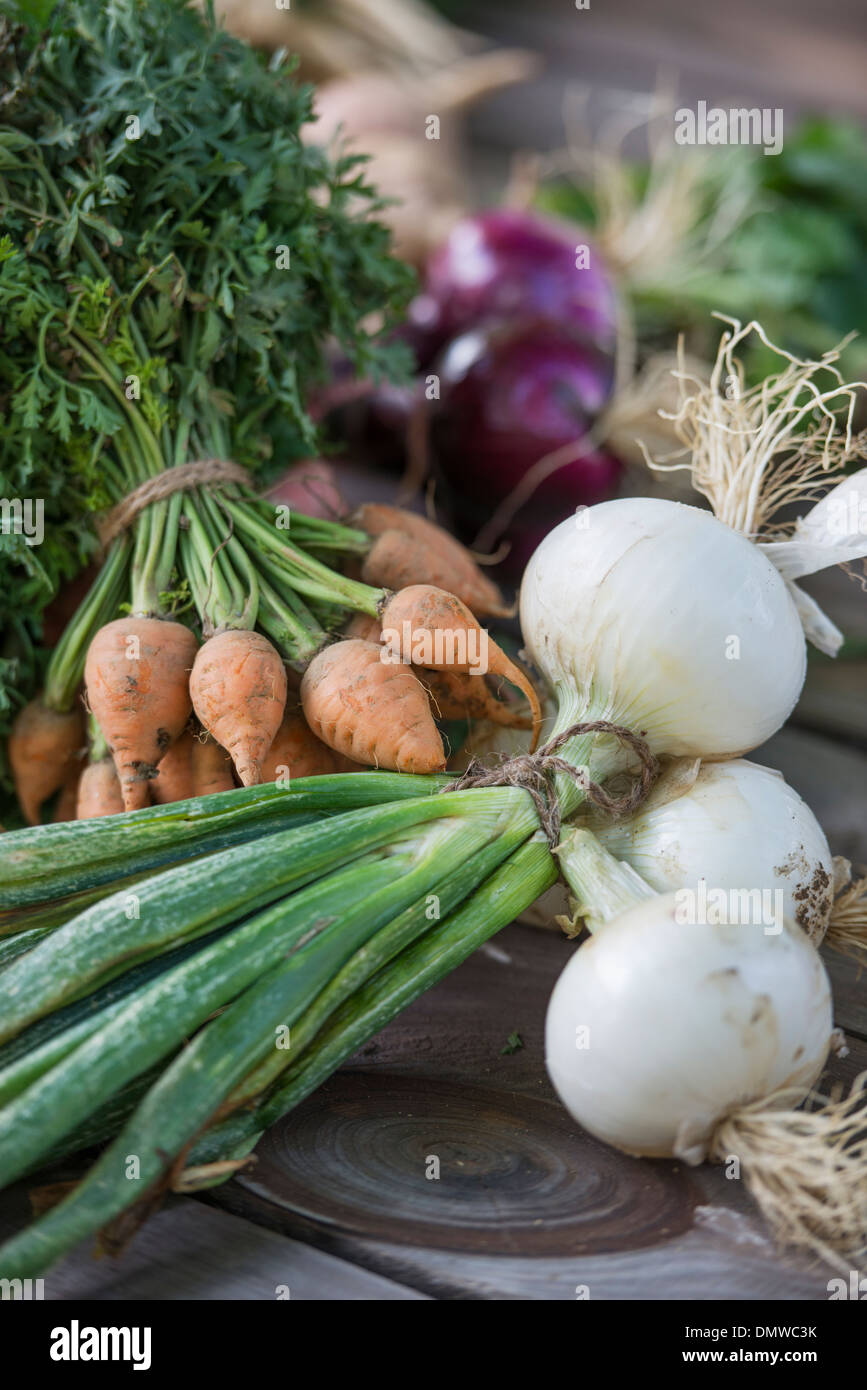 La cernita e la trinciatura appena raccolti di frutta e verdura. Foto Stock La cernita e la trinciatura appena raccolti di frutta e verdura. Foto Stock