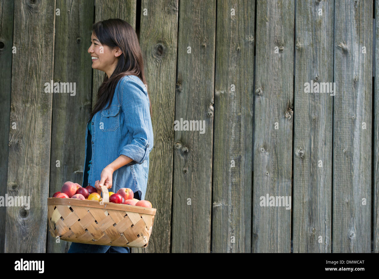 Una donna che porta un cesto di appena raccolto di frutta. Le prugne e pesche. Foto Stock