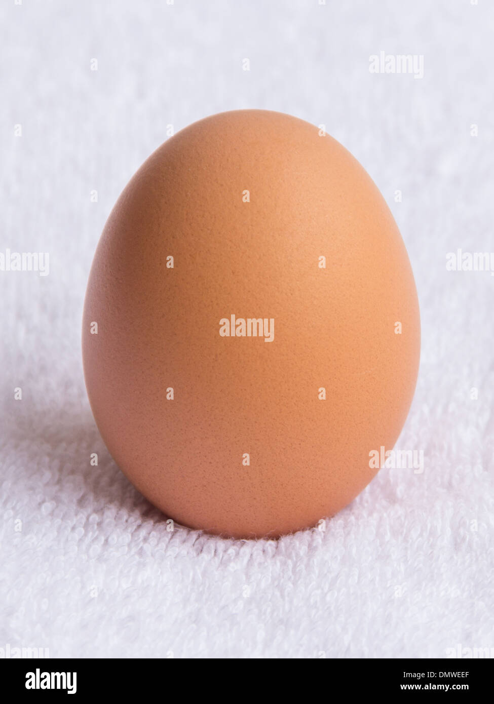 Un uovo di pollo sta solo su sfondo bianco Foto Stock