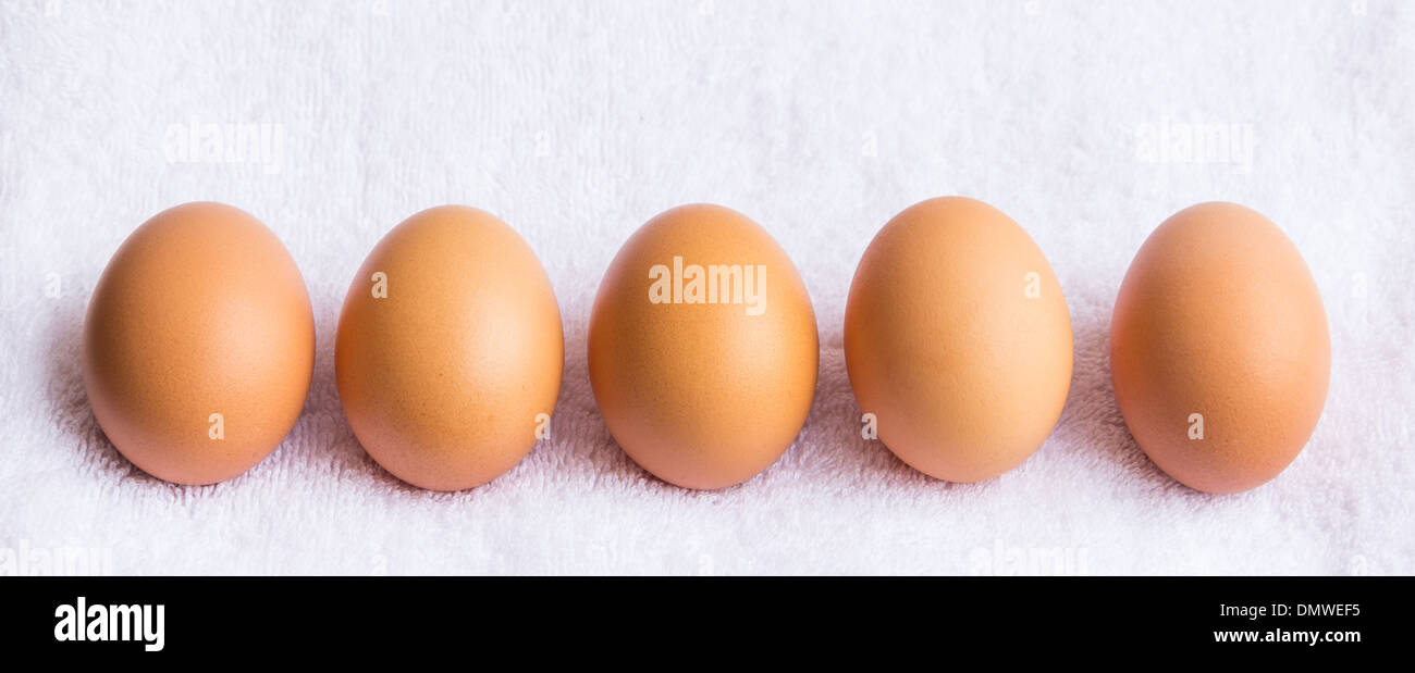 Cinque fresco uova di pollo su sfondo bianco Foto Stock
