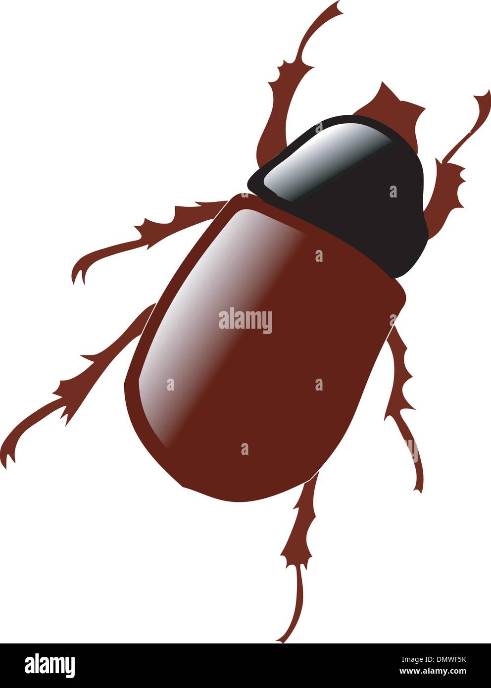 Illustrazione di maggio bug Illustrazione Vettoriale