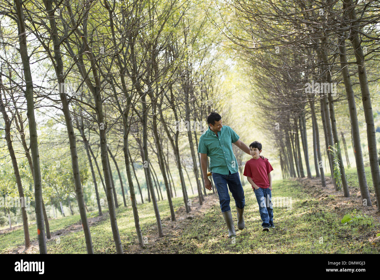 Un uomo e un ragazzo camminando per un viale di alberi. Foto Stock