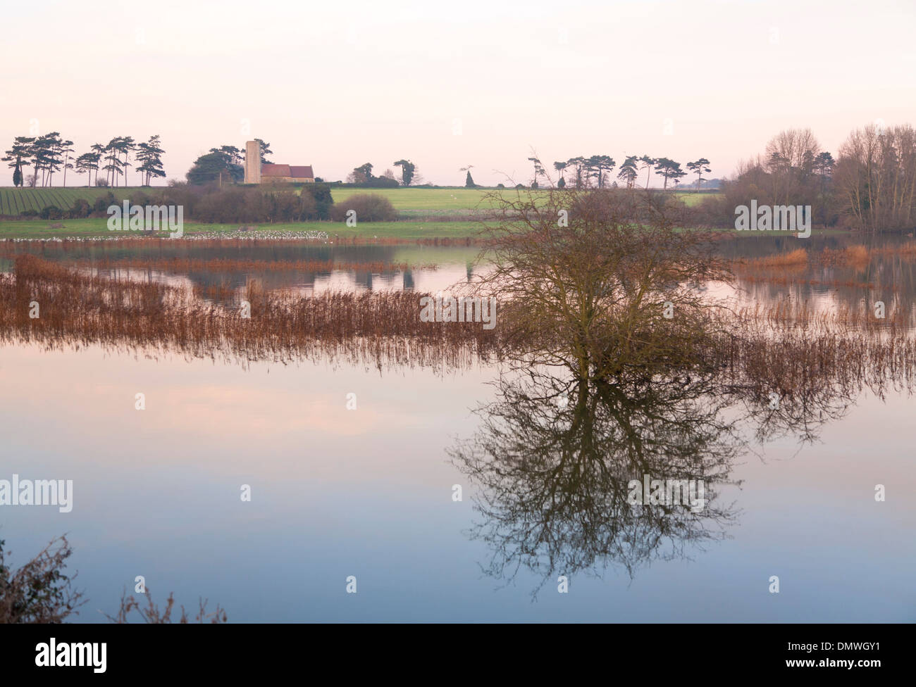 Inondazione in piedi in campo allagato per la prima volta in cinquant'anni da una mareggiata Ramsholt chiesa, Suffolk, Inghilterra Foto Stock