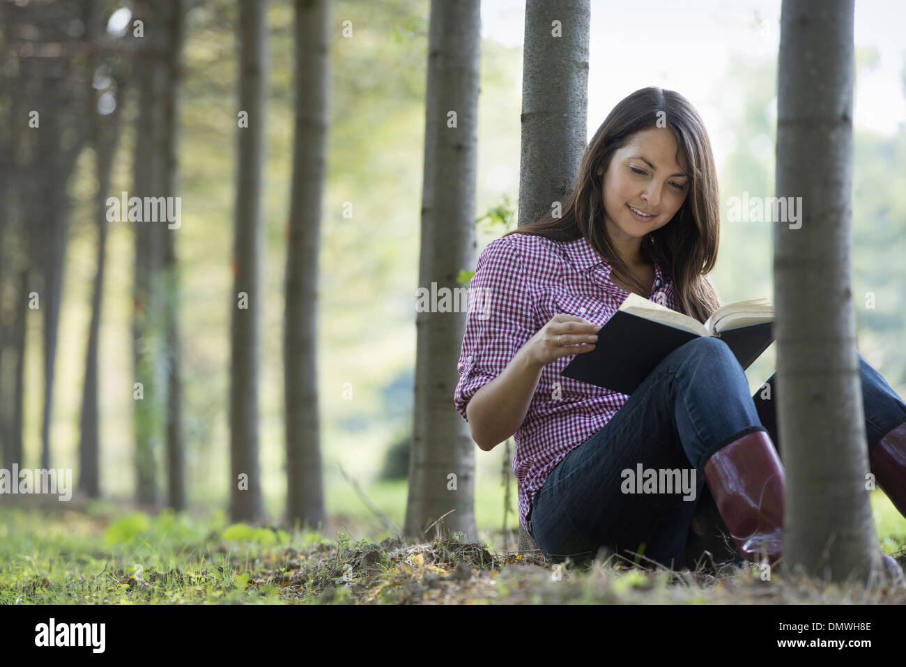 Una donna seduta a leggere un libro sotto gli alberi. Foto Stock
