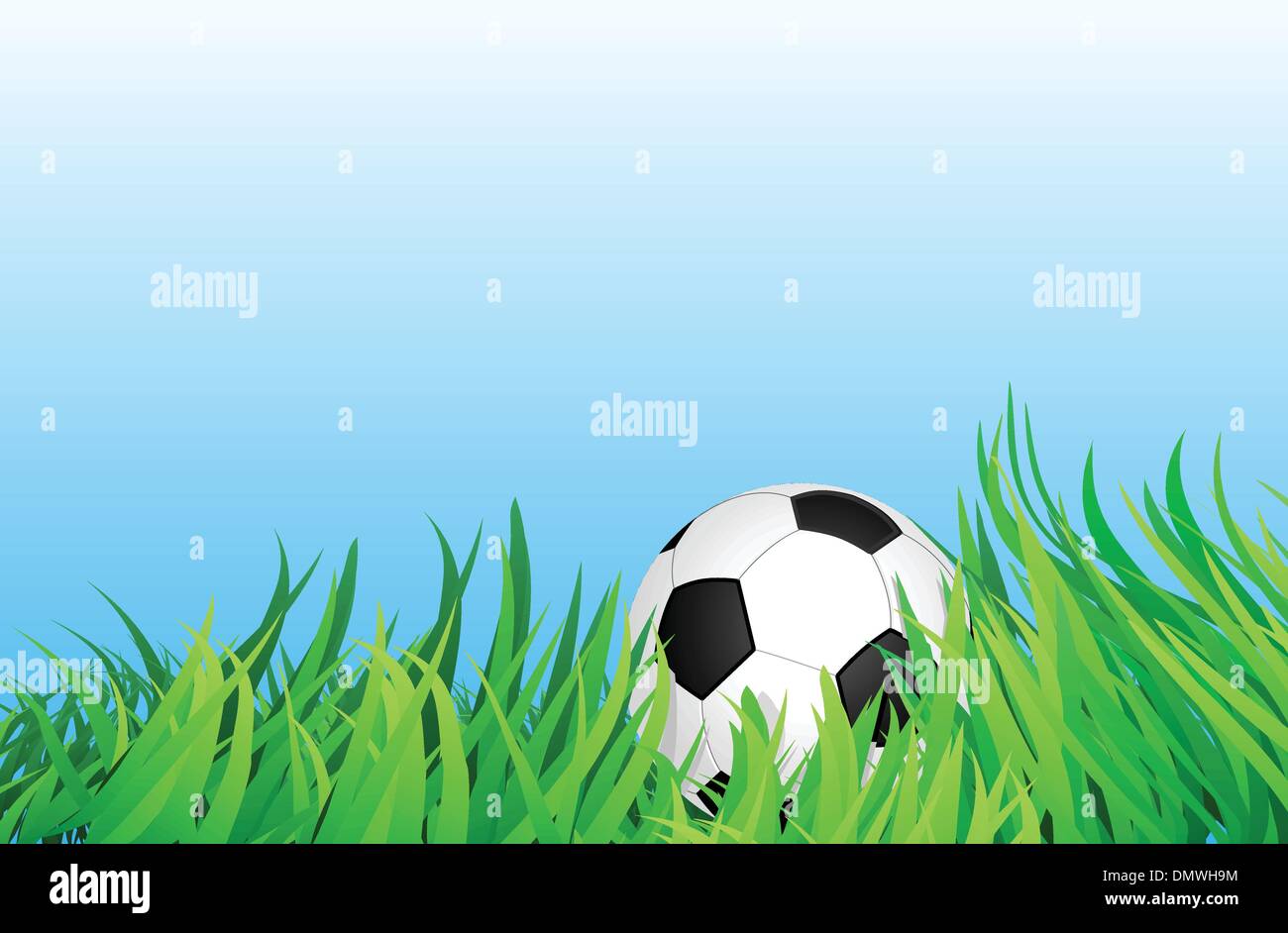 Pallone da calcio sul campo di erba Illustrazione Vettoriale