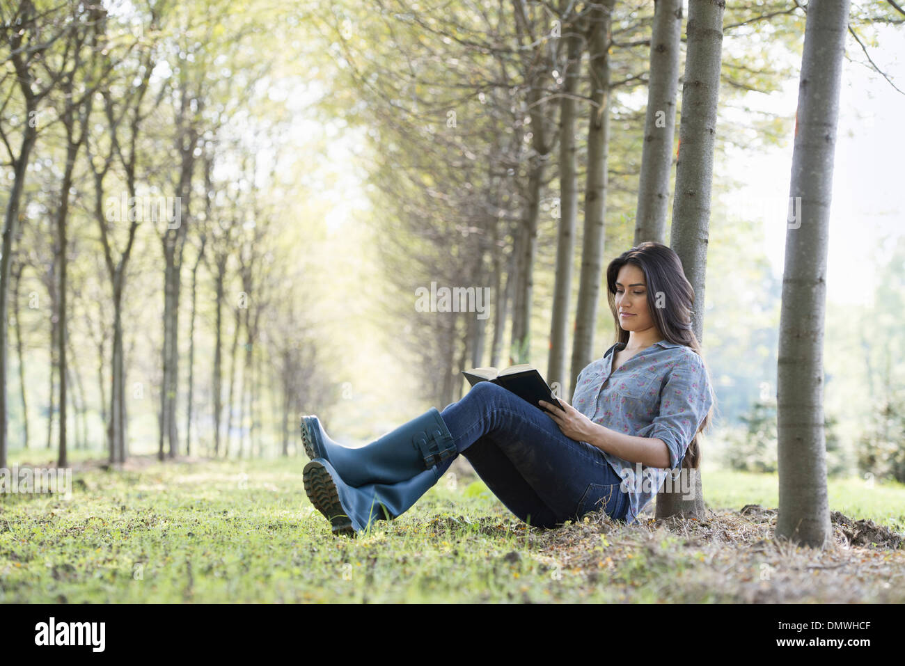 Una donna seduta a leggere un libro sotto gli alberi. Foto Stock