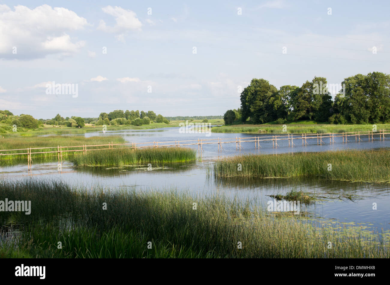 Una vista sul fiume Salaca con lamelle di verde e di alberi e uno stretto ponte di legno sul fiume. Estate lettone e la natura. Foto Stock