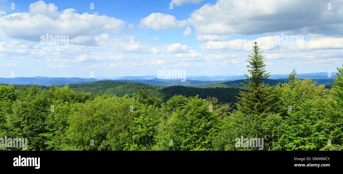 Panorama dei monti Beskidy presi da Jaworzyna Krynicka, Polonia. Foto Stock