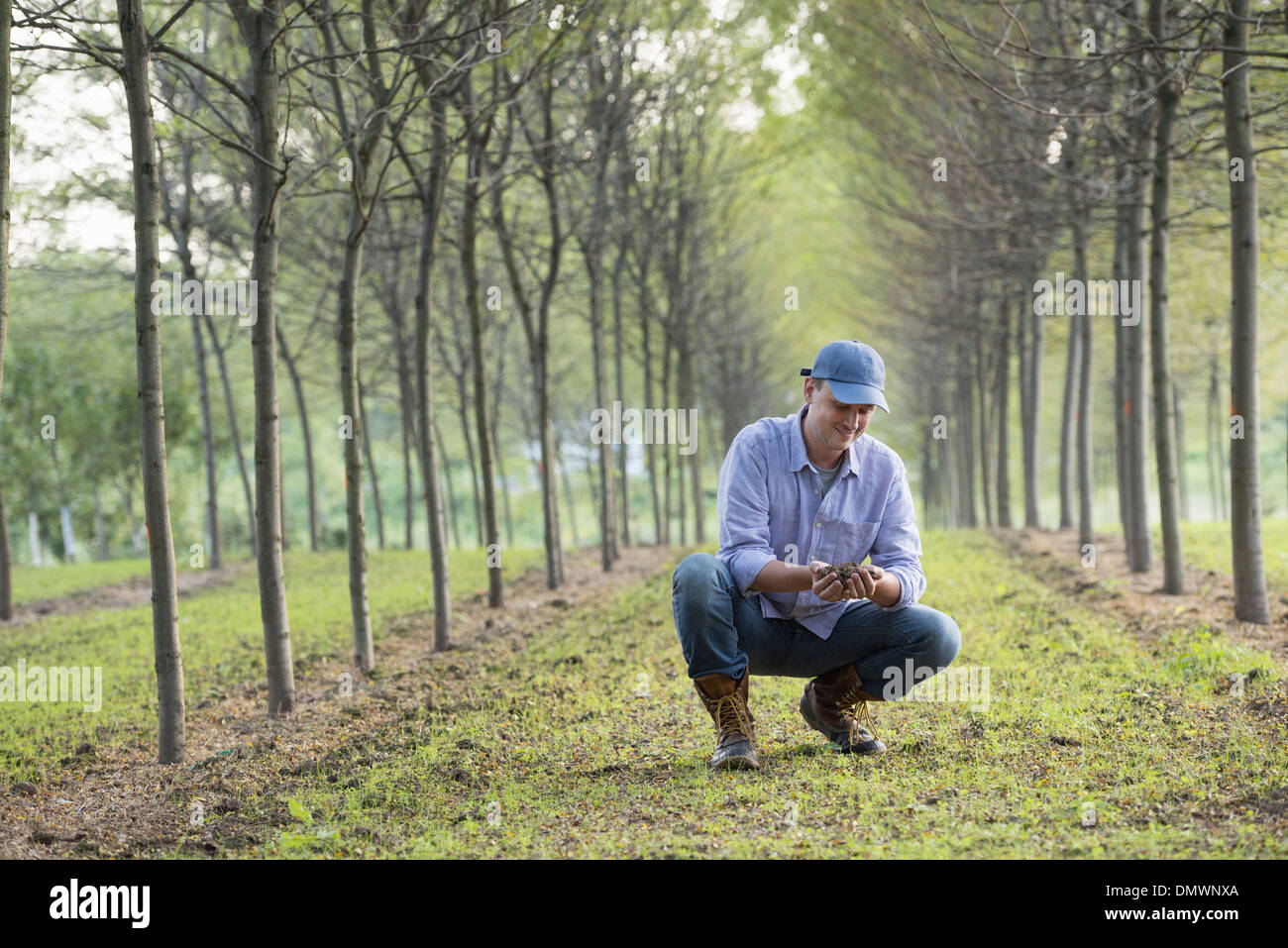 Un uomo accovacciato ed esaminando una manciata di terra. Foto Stock