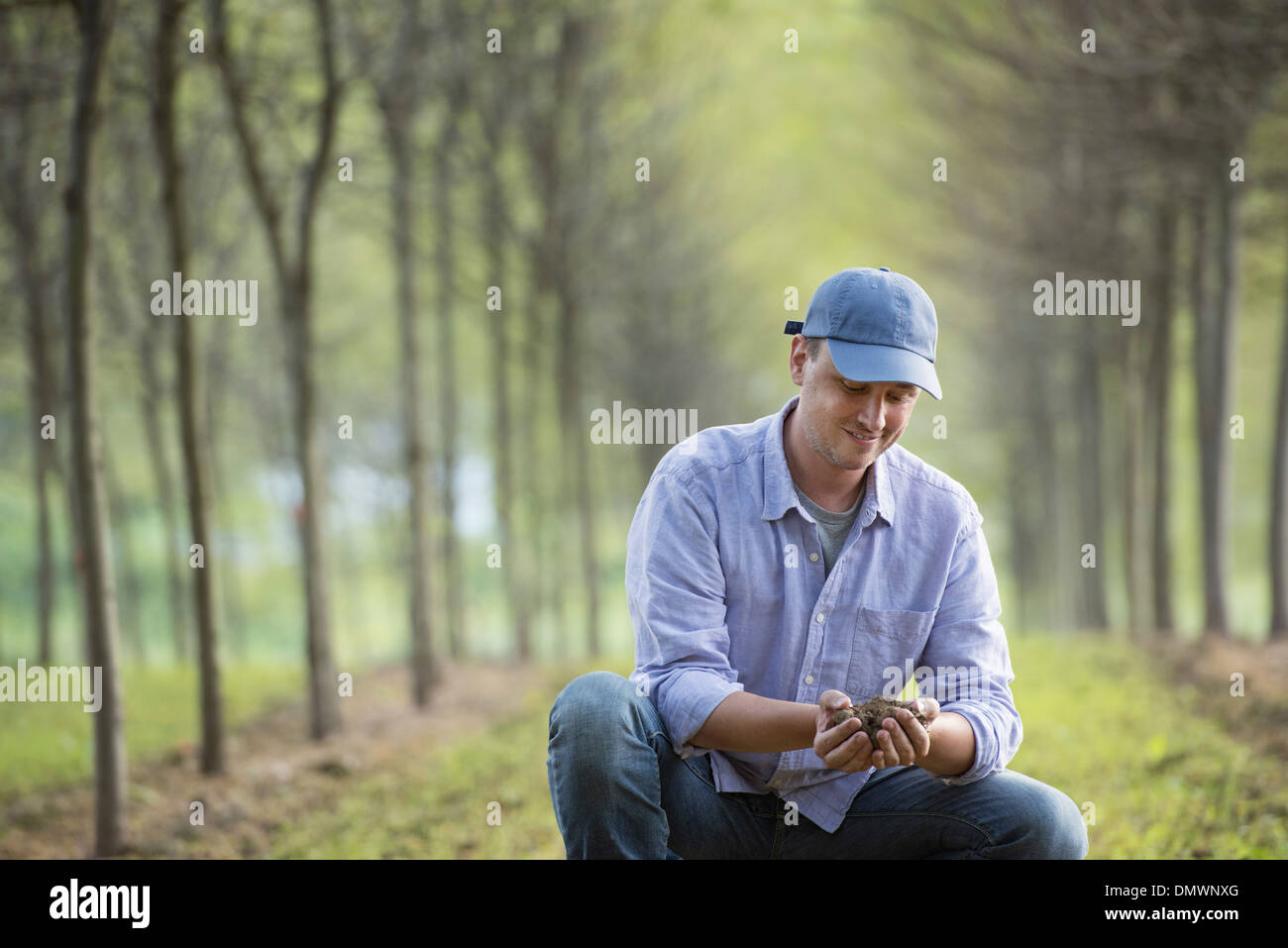 Un uomo accovacciato ed esaminando una manciata di terra. Foto Stock