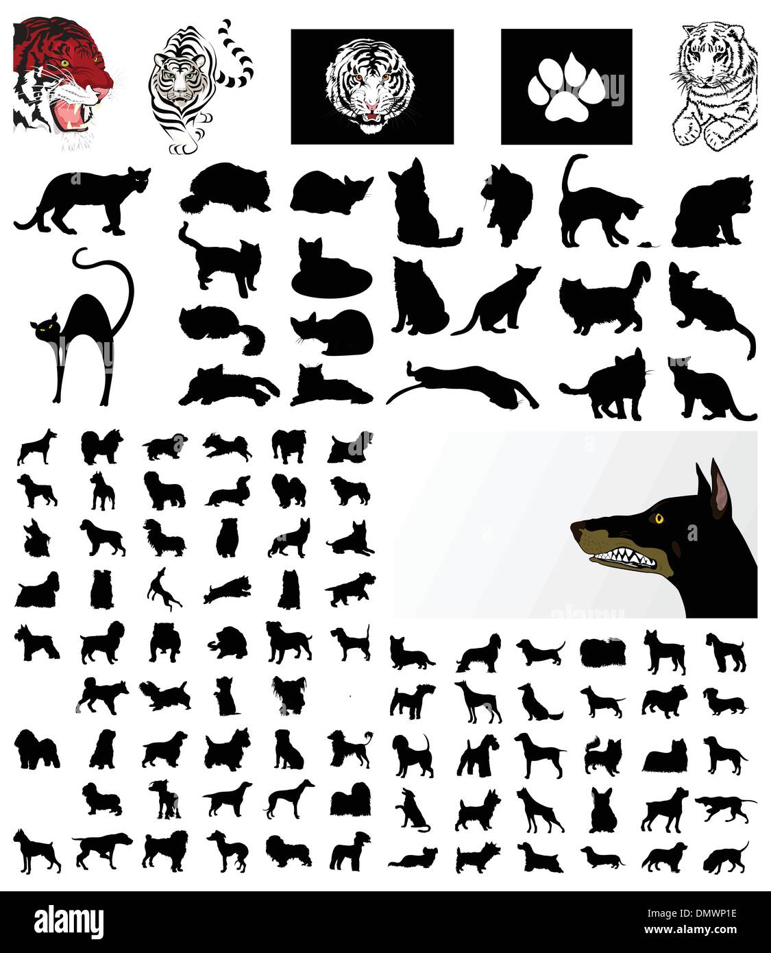 Cani e gatti Illustrazione Vettoriale