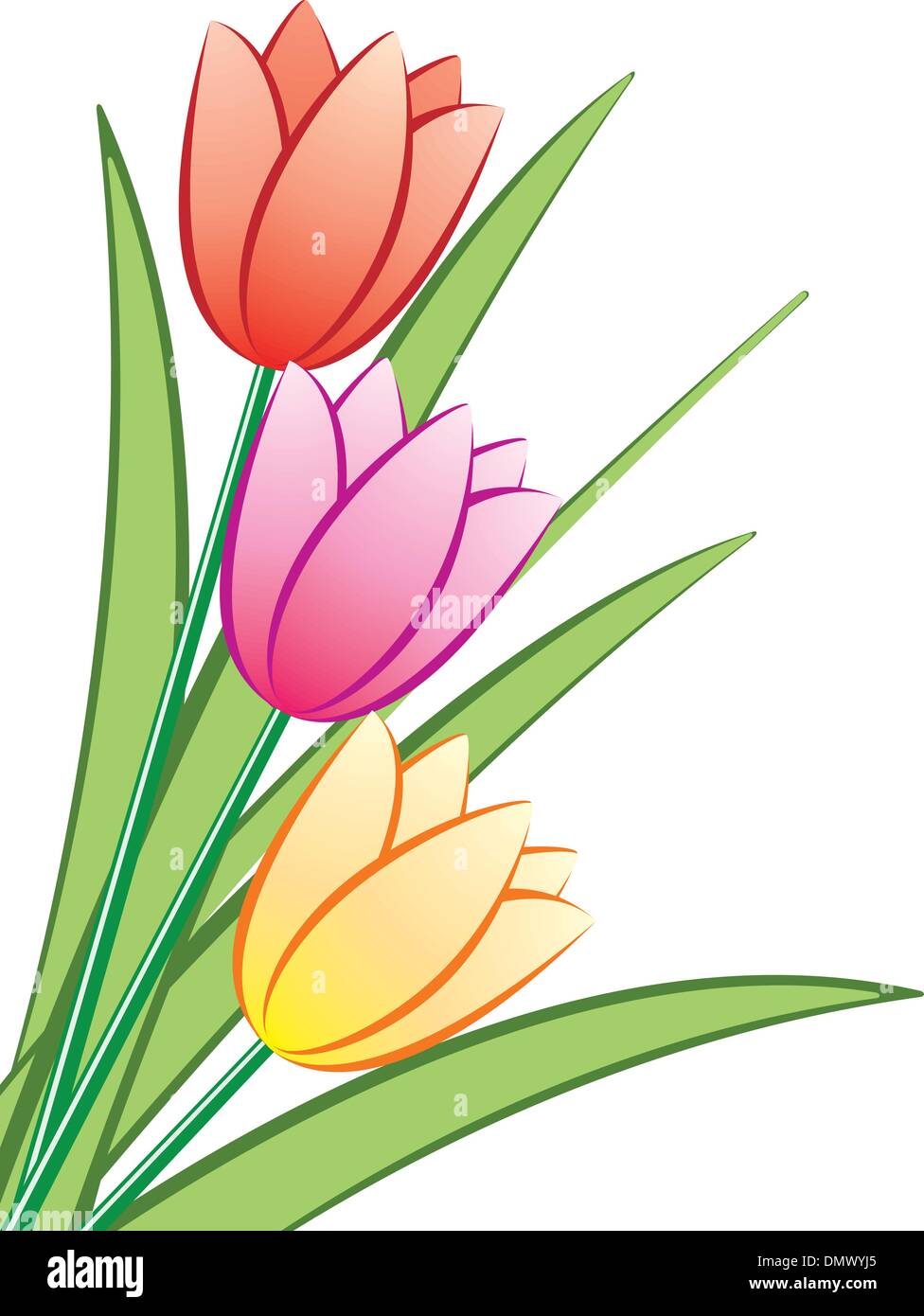 Vettore mazzo di tulipani Illustrazione Vettoriale