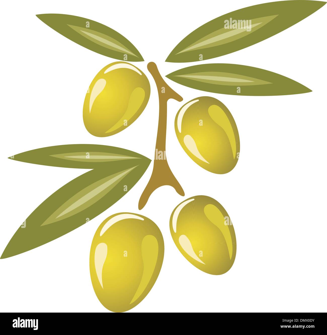 Stilizzata olive branch simbolo icona, isolato illustrazione vettoriale Illustrazione Vettoriale
