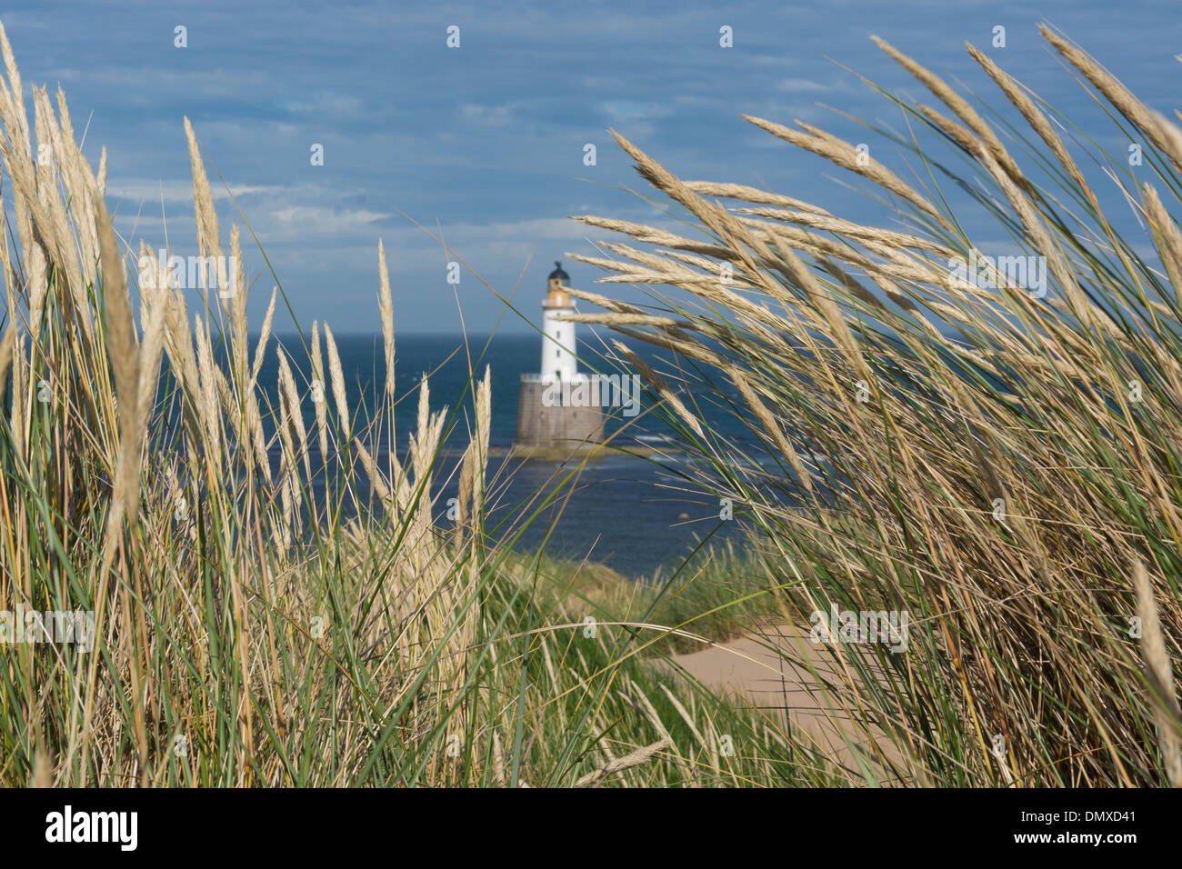 Rattray Capo Faro con dune di sabbia vicino a St fergus gas terminale con marran erba e spiaggia di sabbia Foto Stock