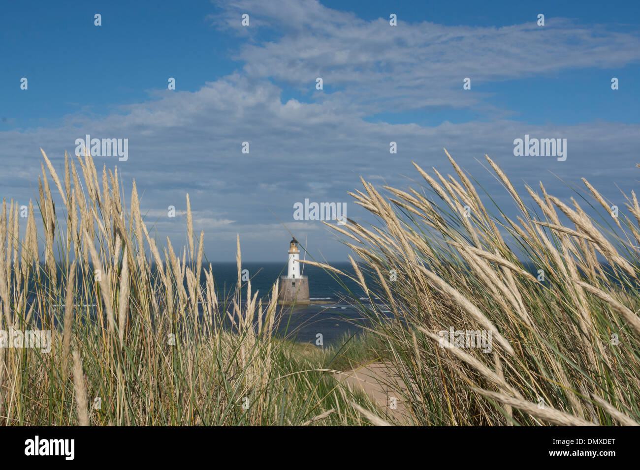 Rattray Capo Faro con dune di sabbia vicino a St fergus gas terminale con marran erba e spiaggia di sabbia Foto Stock