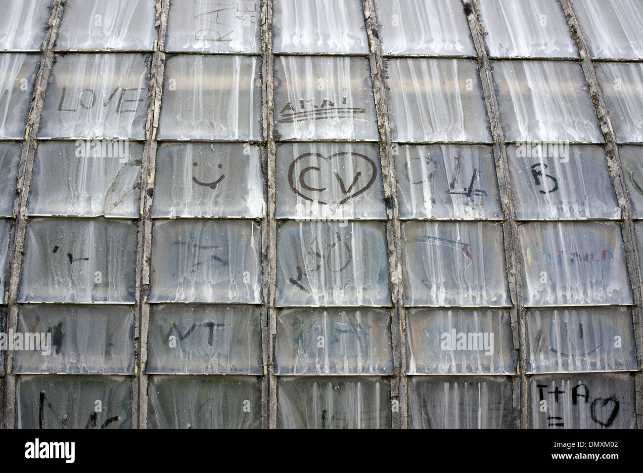 Le impronte delle dita e disegni sul vetro di una serra in giardini presso il castello di Villandry, Indre, Loire Foto Stock