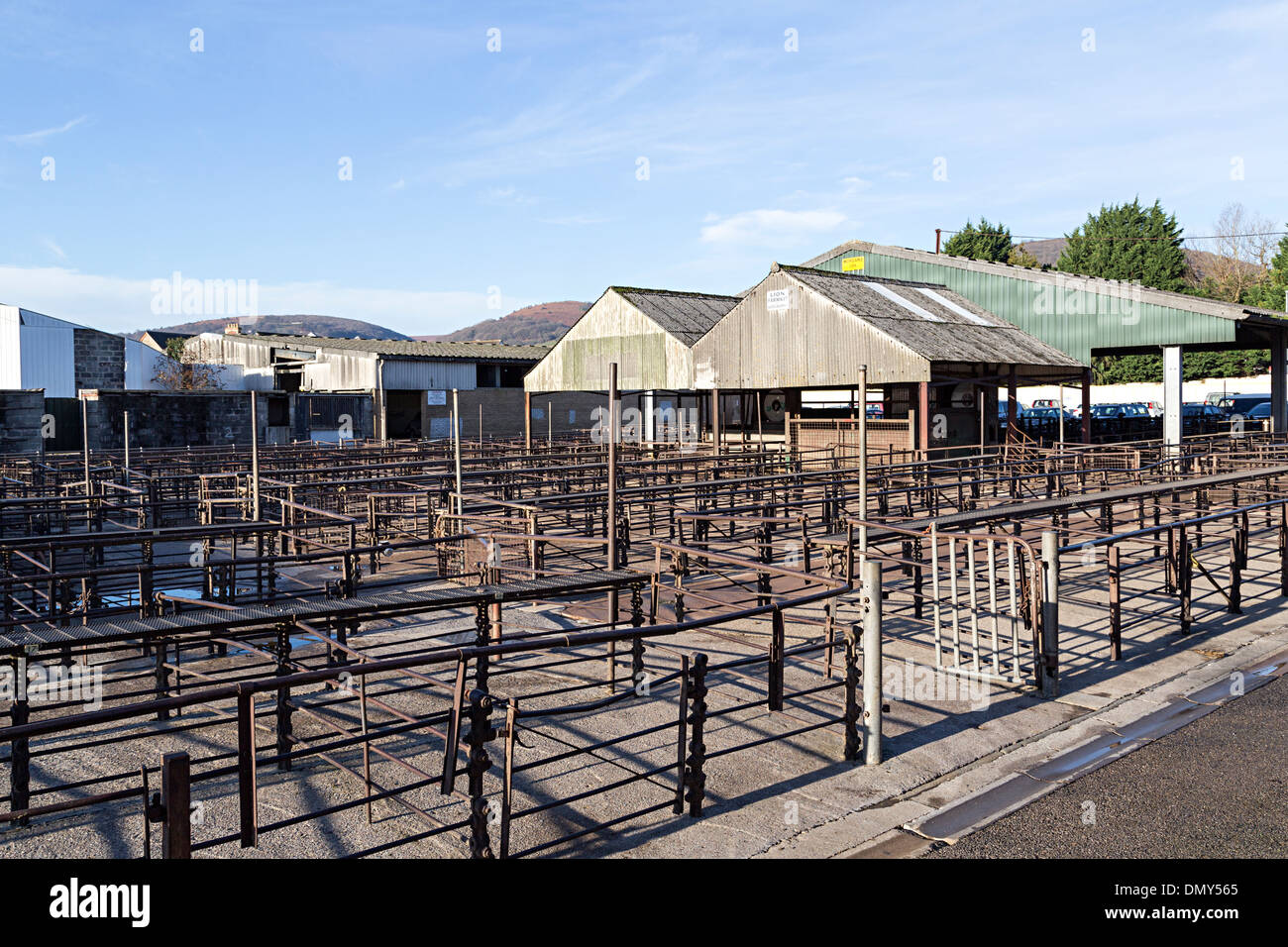 Vuoto mercato del bestiame appena dopo la chiusura definitiva nel mese di dicembre 2013, Abergavenny, Wales, Regno Unito Foto Stock