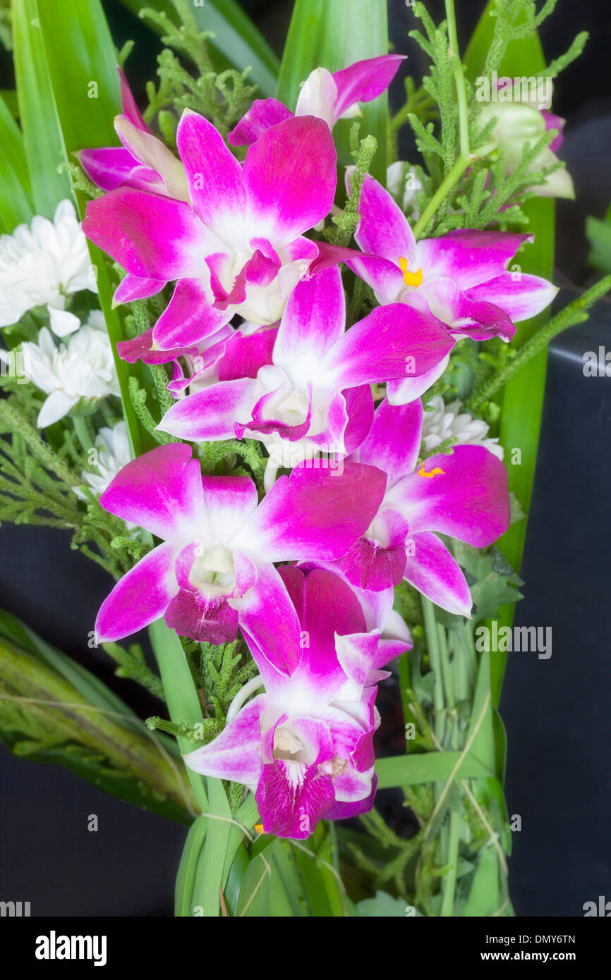 Orchidea fresca mazzetto in un mercato in Thailandia Foto Stock