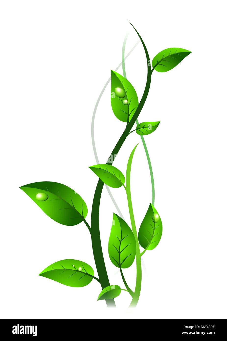 Germoglio verde con gocce a foglie Illustrazione Vettoriale