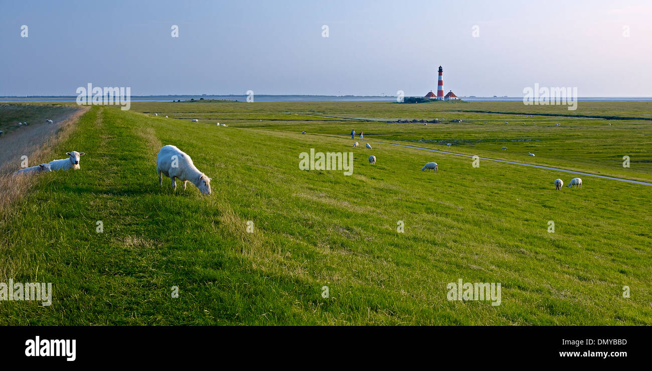 Faro Westerheversand, penisola di Eiderstedt, Frisia settentrionale, Schleswig-Holstein, Germania Foto Stock