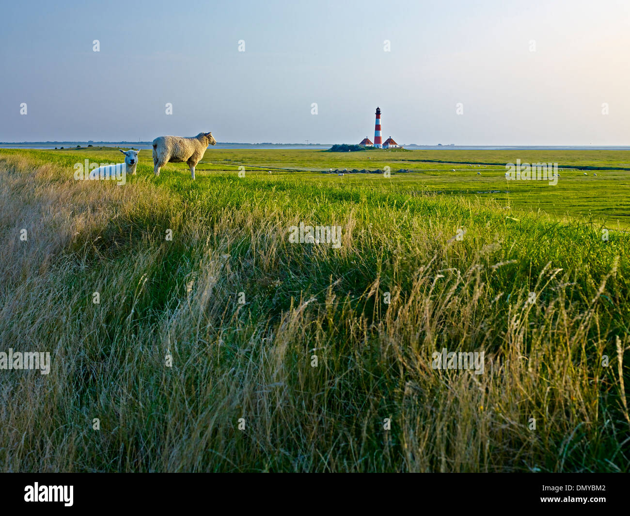 Faro Westerheversand, penisola di Eiderstedt, Frisia settentrionale, Schleswig-Holstein, Germania Foto Stock