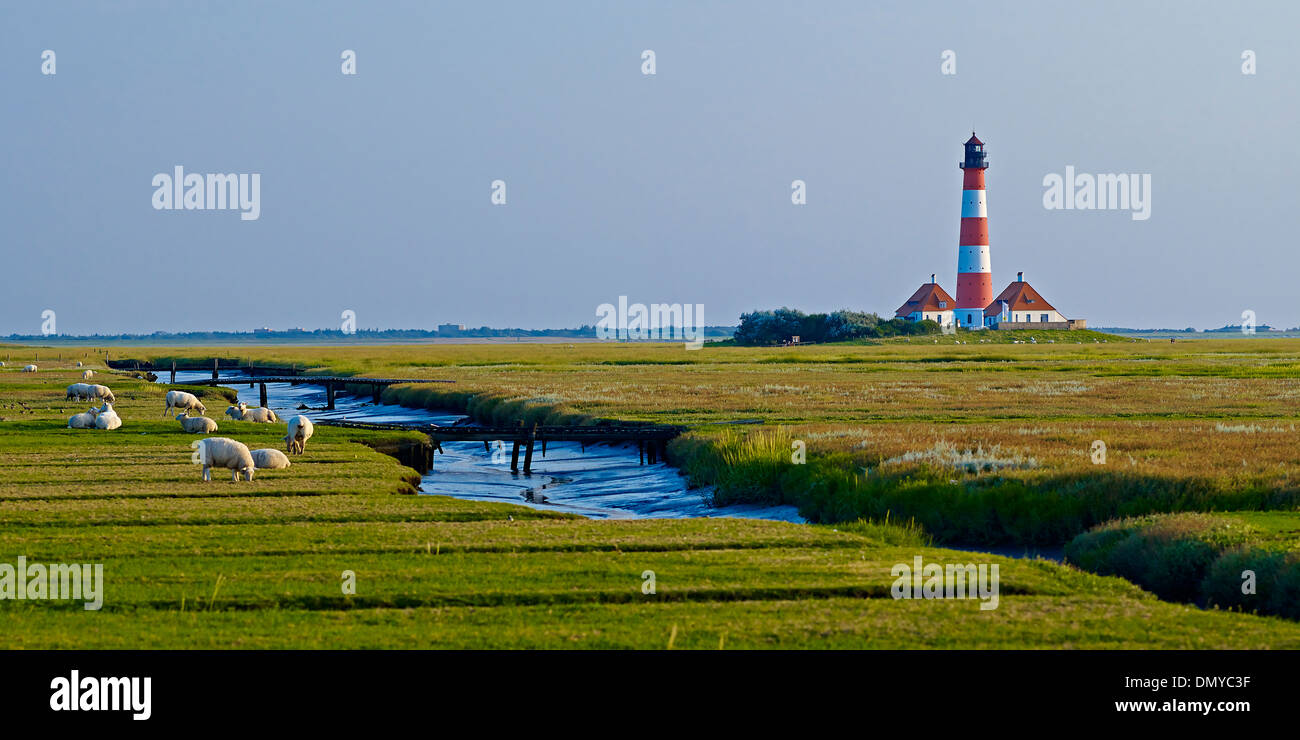 Faro Westerheversand, penisola di Eiderstedt, Frisia settentrionale, Schleswig-Holstein, Germania Foto Stock