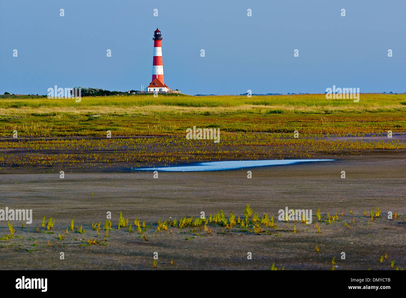 Faro Westerheversand, penisola di Eiderstedt, Frisia settentrionale, Schleswig-Holstein, Germania Foto Stock