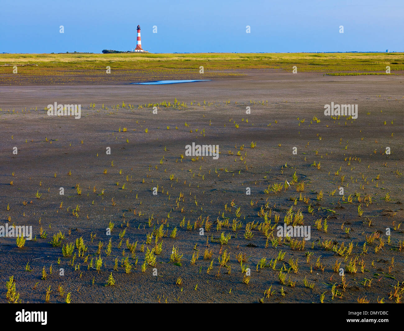 Faro Westerheversand, penisola di Eiderstedt, Frisia settentrionale, Schleswig-Holstein, Germania Foto Stock
