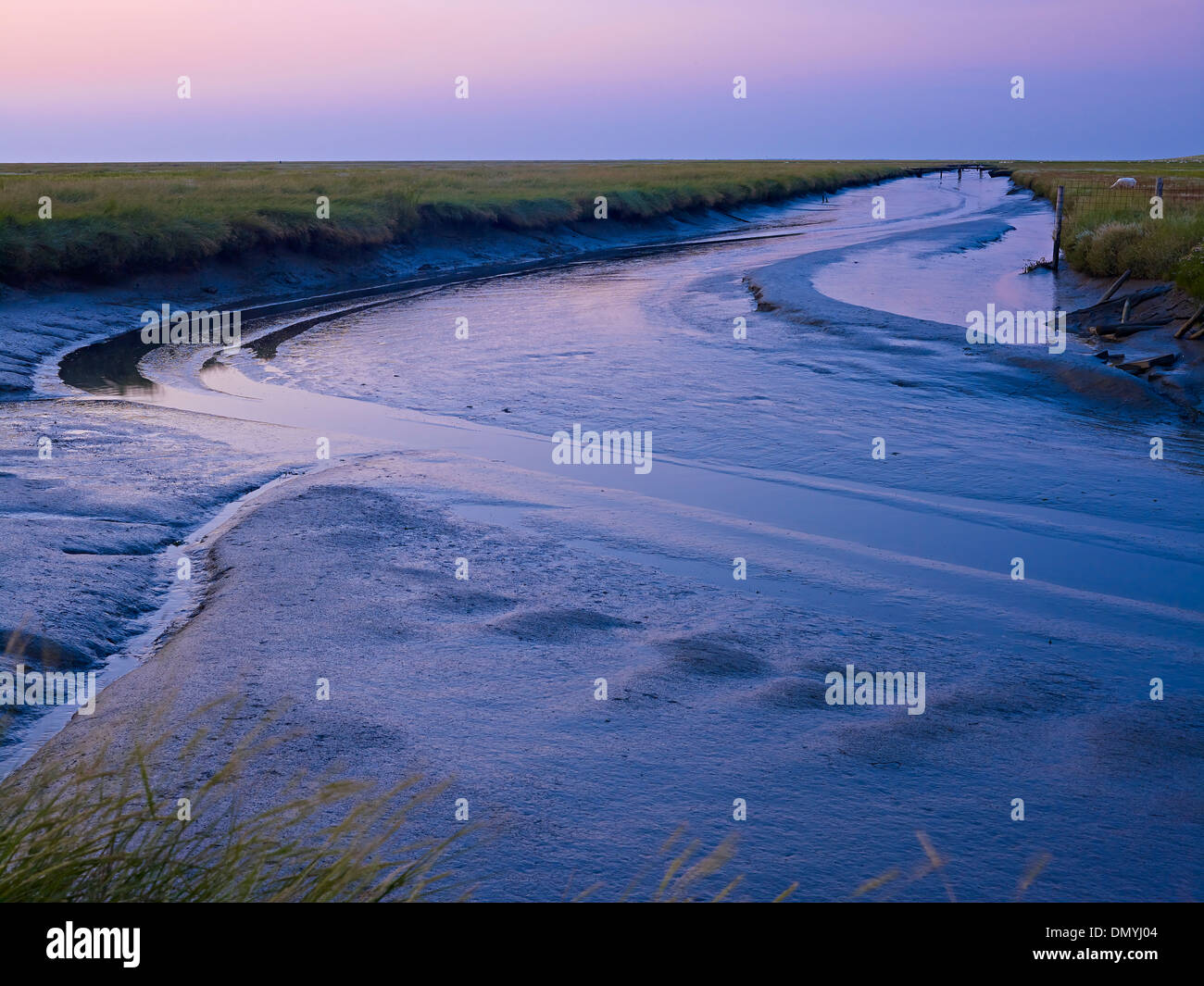 Tidal creek a Westerhever, penisola di Eiderstedt, Frisia settentrionale, Schleswig-Holstein, Germania Foto Stock