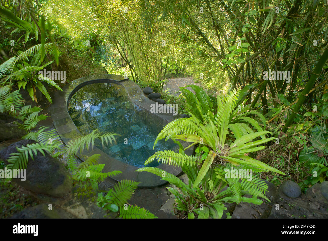 Vasca idromassaggio spa presso una casa in Ubud, Bali, Indonesia Foto Stock