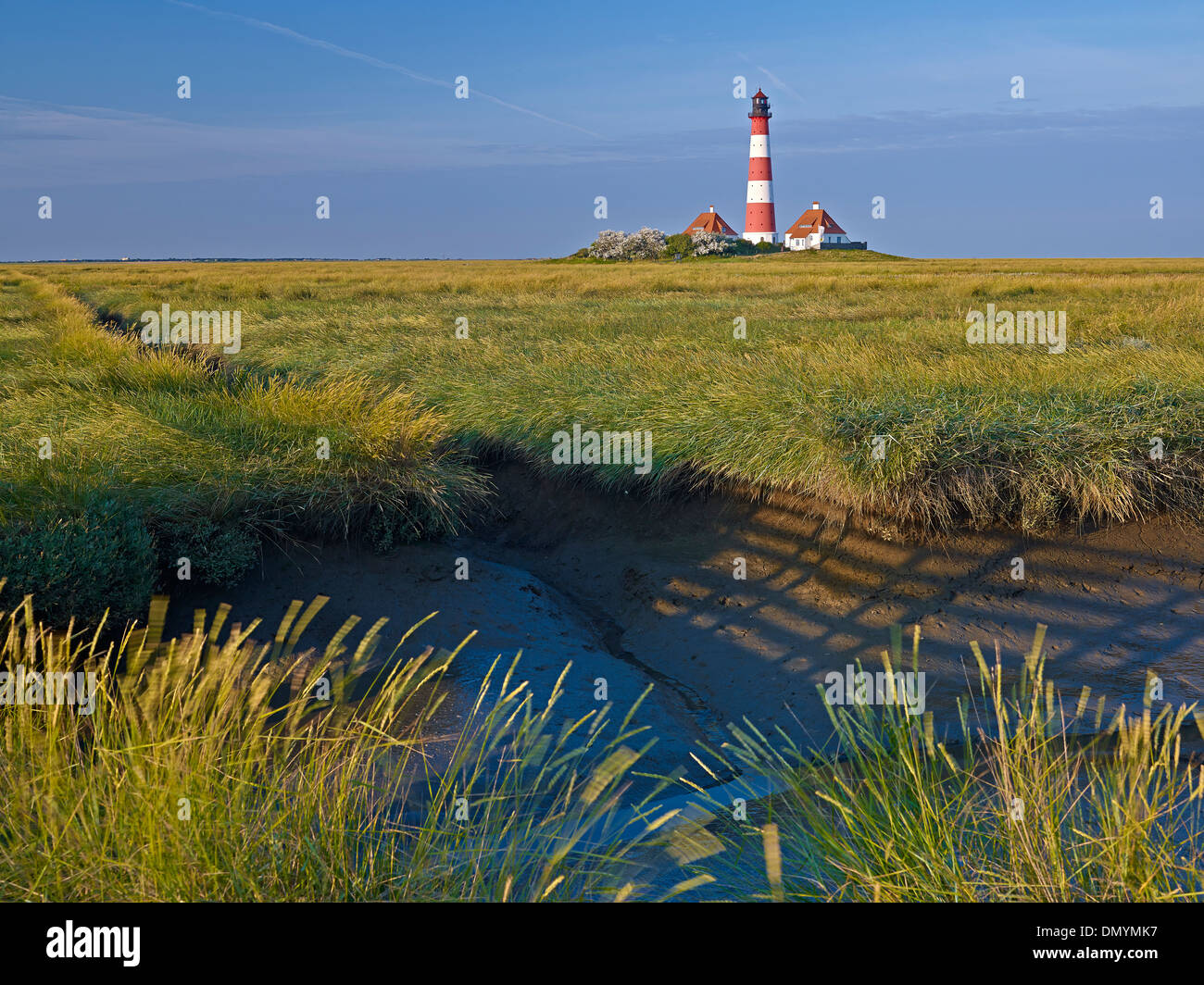 Faro Westerheversand, penisola di Eiderstedt, Frisia settentrionale, Schleswig-Holstein, Germania Foto Stock