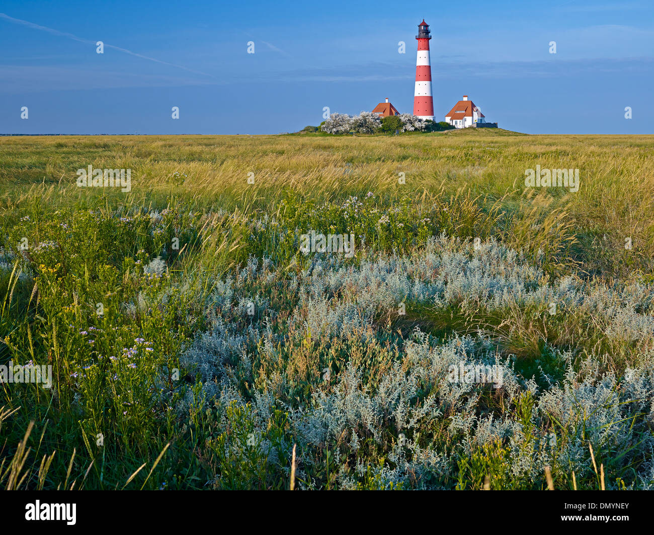 Faro Westerheversand, penisola di Eiderstedt, Frisia settentrionale, Schleswig-Holstein, Germania Foto Stock