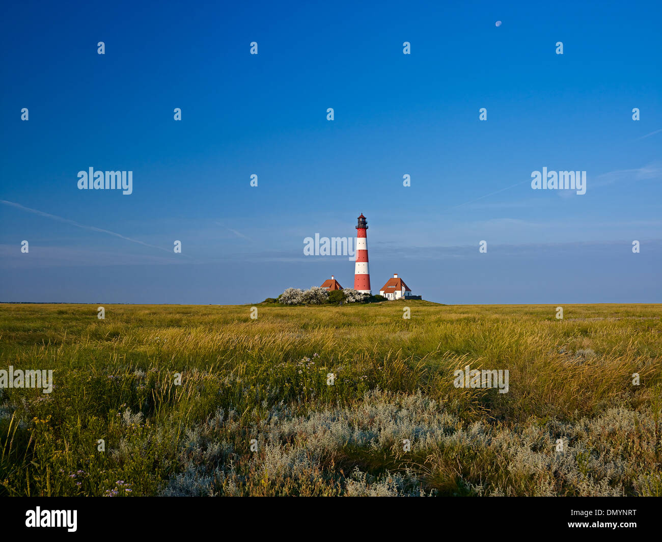Faro Westerheversand, penisola di Eiderstedt, Frisia settentrionale, Schleswig-Holstein, Germania Foto Stock