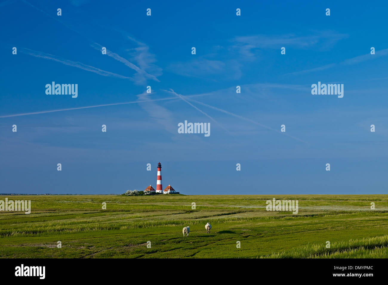 Faro Westerheversand, penisola di Eiderstedt, Frisia settentrionale, Schleswig-Holstein, Germania Foto Stock