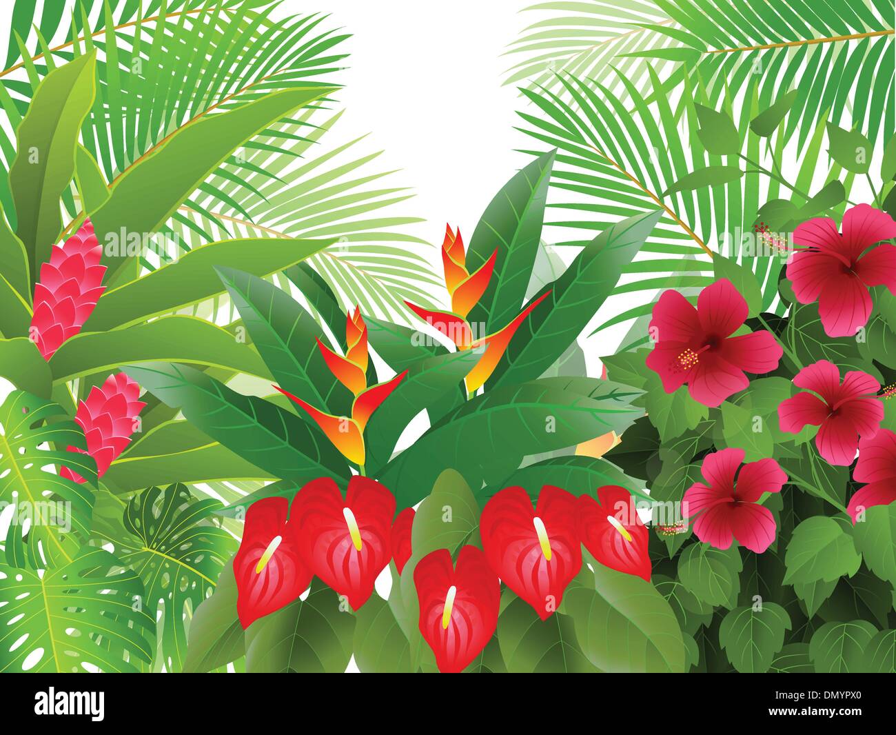 Foresta tropicale in background Illustrazione Vettoriale
