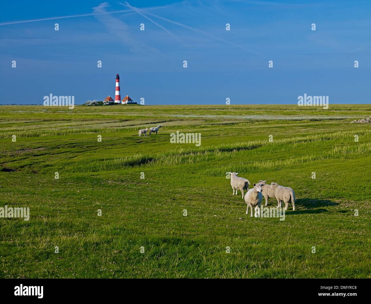 Faro Westerheversand, penisola di Eiderstedt, Frisia settentrionale, Schleswig-Holstein, Germania Foto Stock