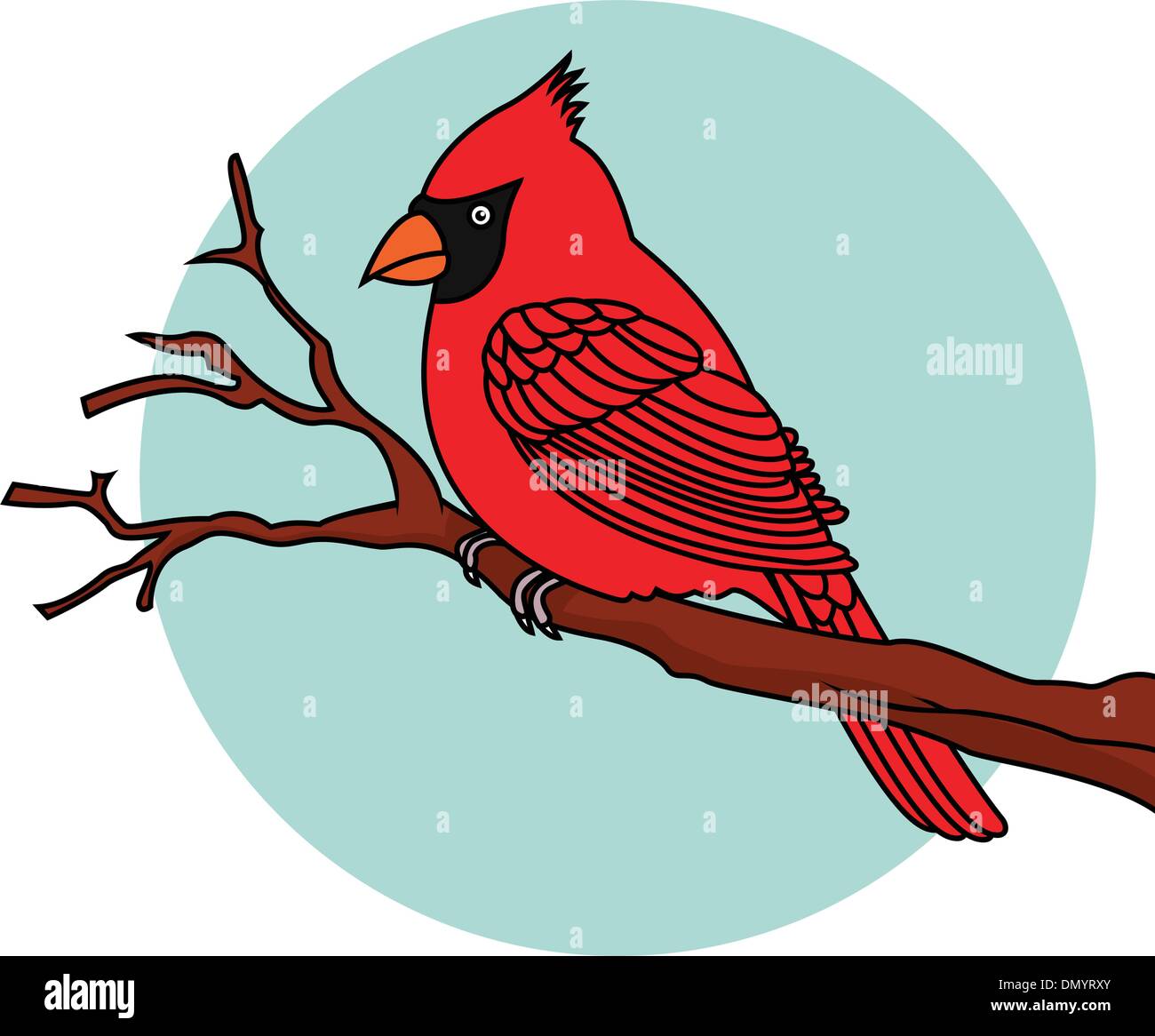 Uccello Rosso cardinali Illustrazione Vettoriale