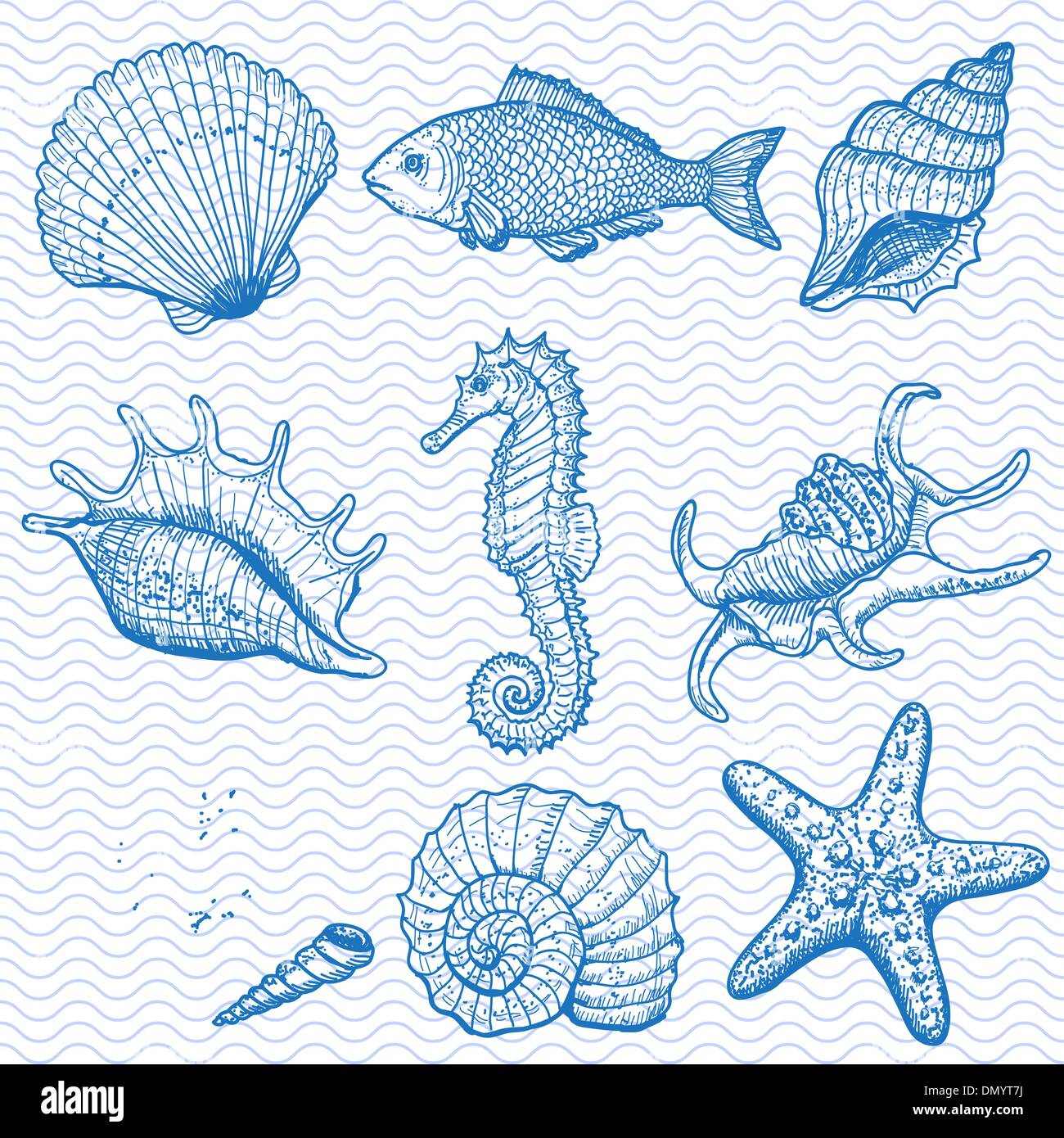 Collezione Mare. A mano originale Illustrazione disegnata Illustrazione Vettoriale