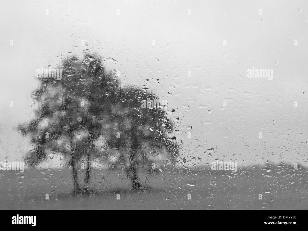 Paesaggio con due alberi visti attraverso la finestra Auto in caso di pioggia, Regione Mazovia, Polonia Foto Stock