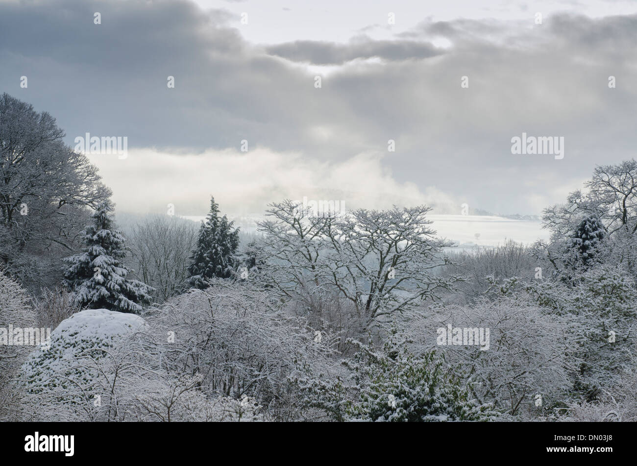 Crathes giardino nella neve profonda a NTS Foto Stock