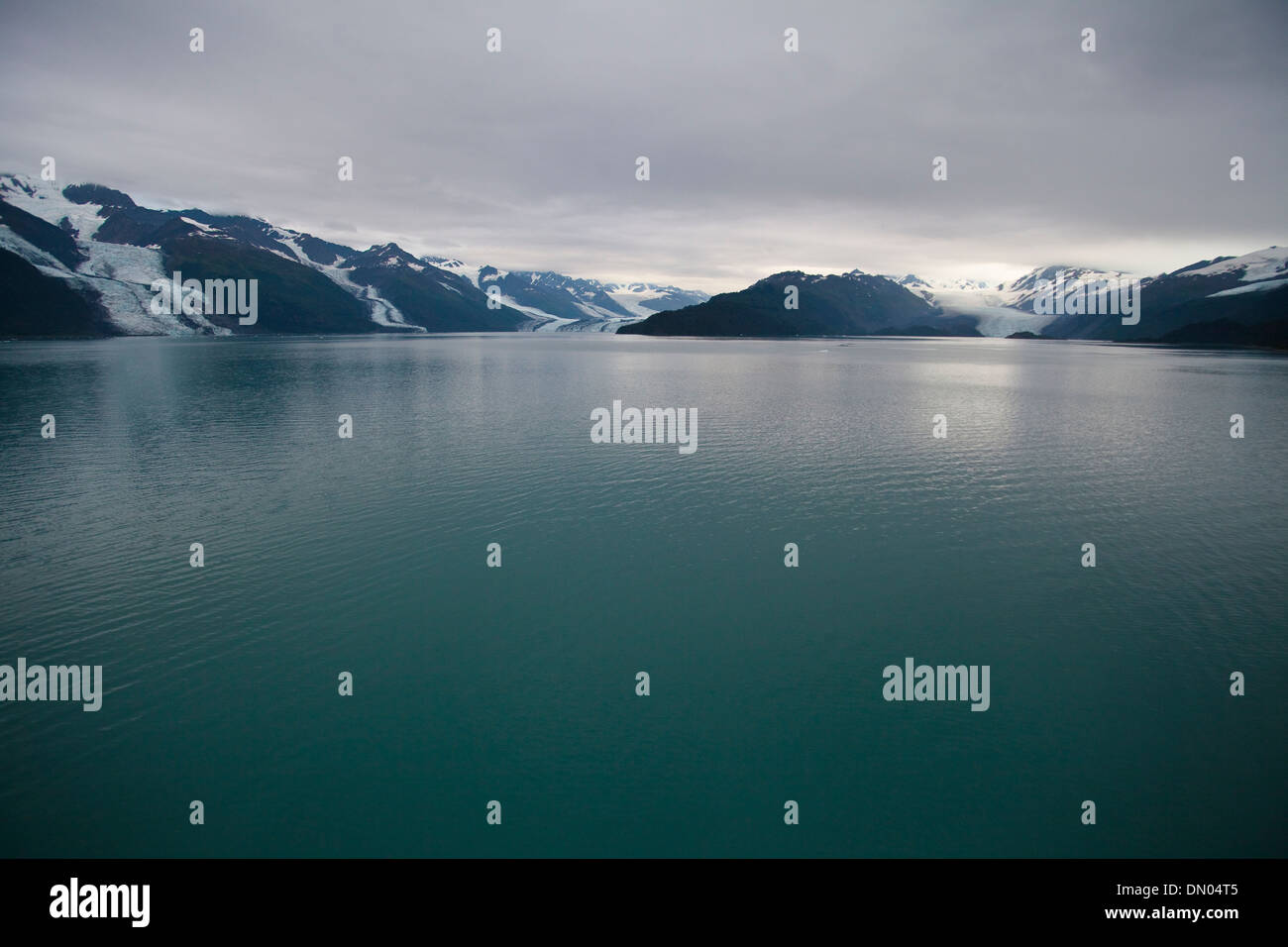 College Fjord, Alaska. Foto Stock