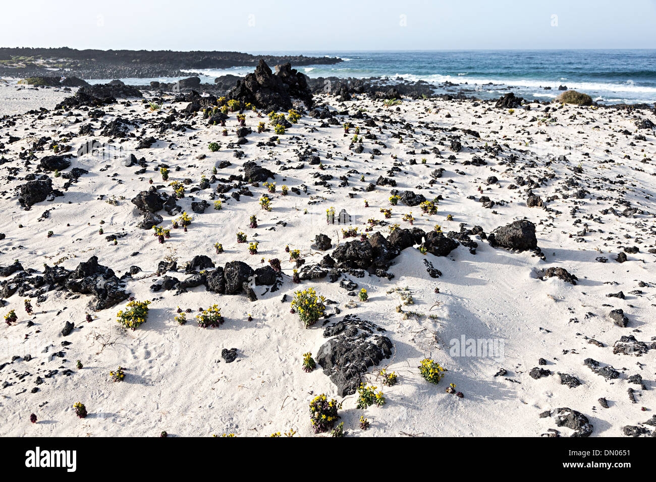 La sabbia bianca e nera lava rocce al Caleton Blanco beach, Lanzarote, Isole Canarie, Spagna Foto Stock