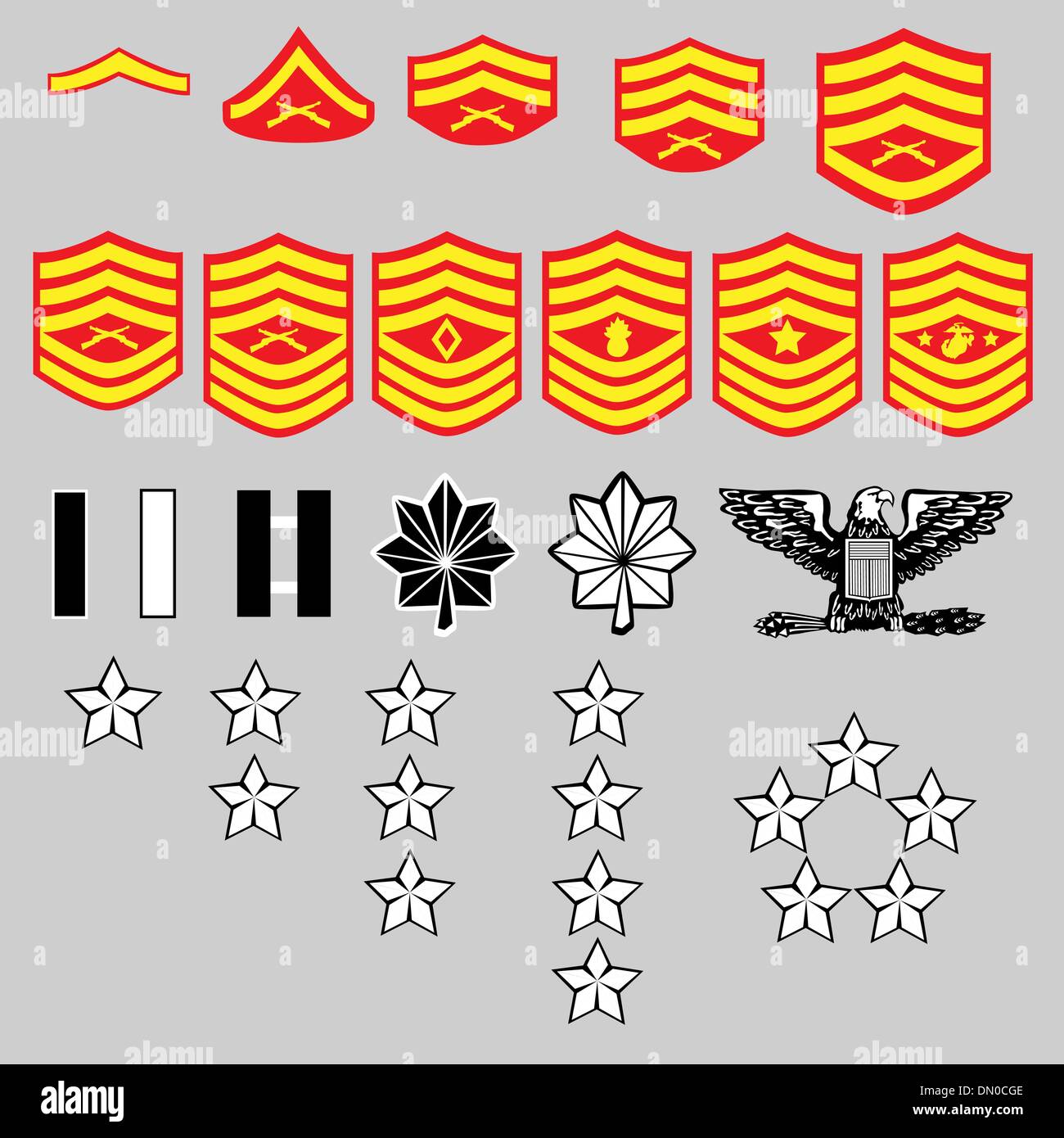 Marine Corps rank insignia Illustrazione Vettoriale