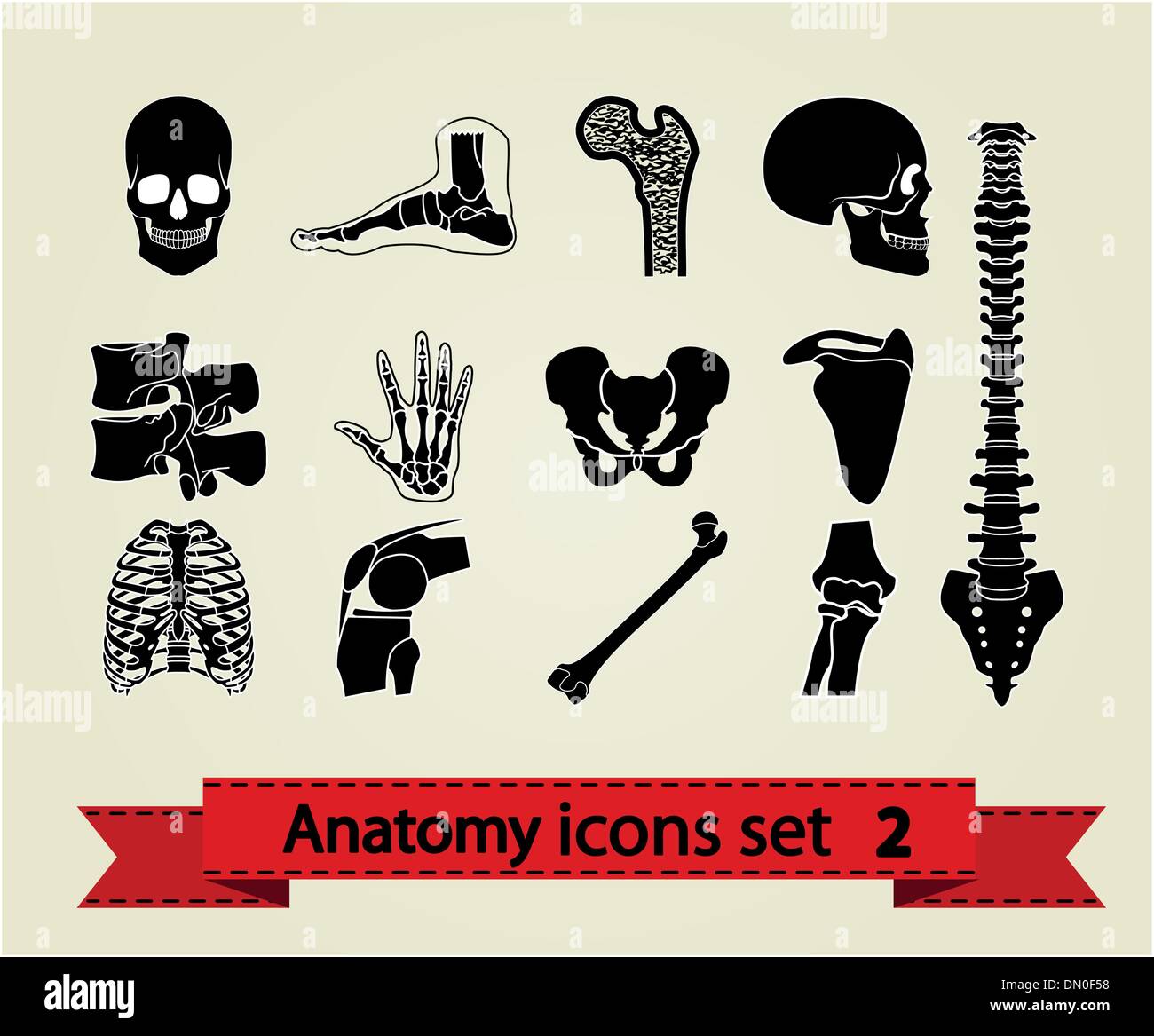 Anatomia set di icone 2 Illustrazione Vettoriale