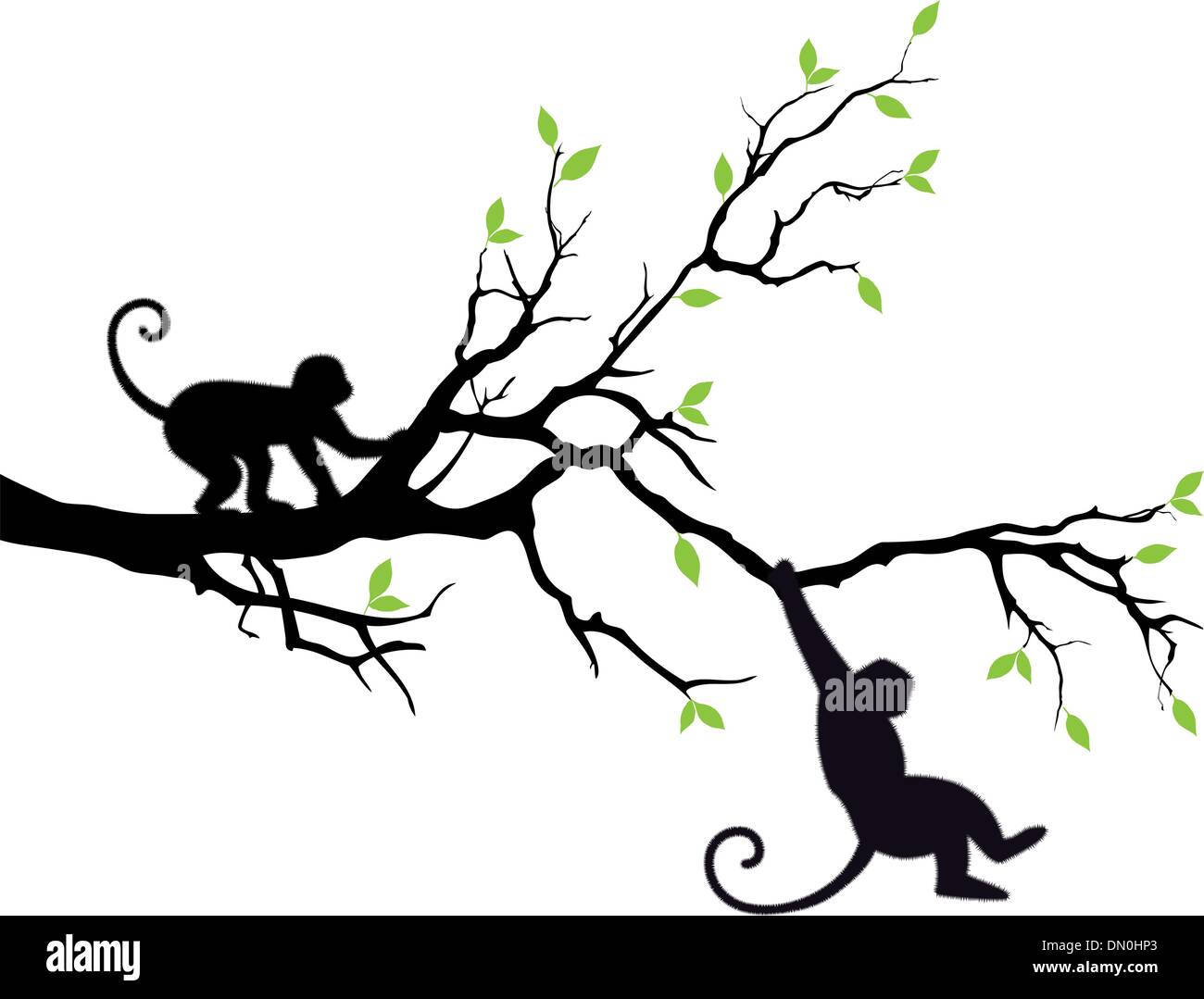 Le scimmie sugli alberi, vettore Illustrazione Vettoriale