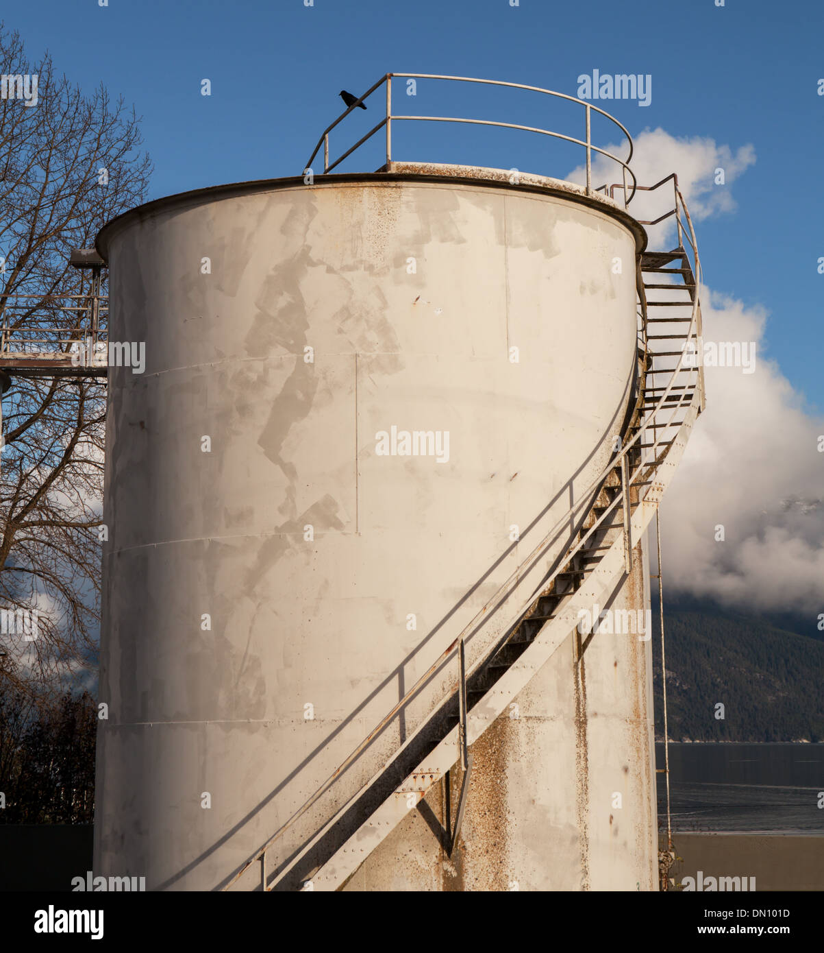 Carburanti industriali serbatoio di accumulo di olio in Haines Alaska con cielo blu, puffy nuvole e un corvo seduto sulla cima della ringhiera. Foto Stock