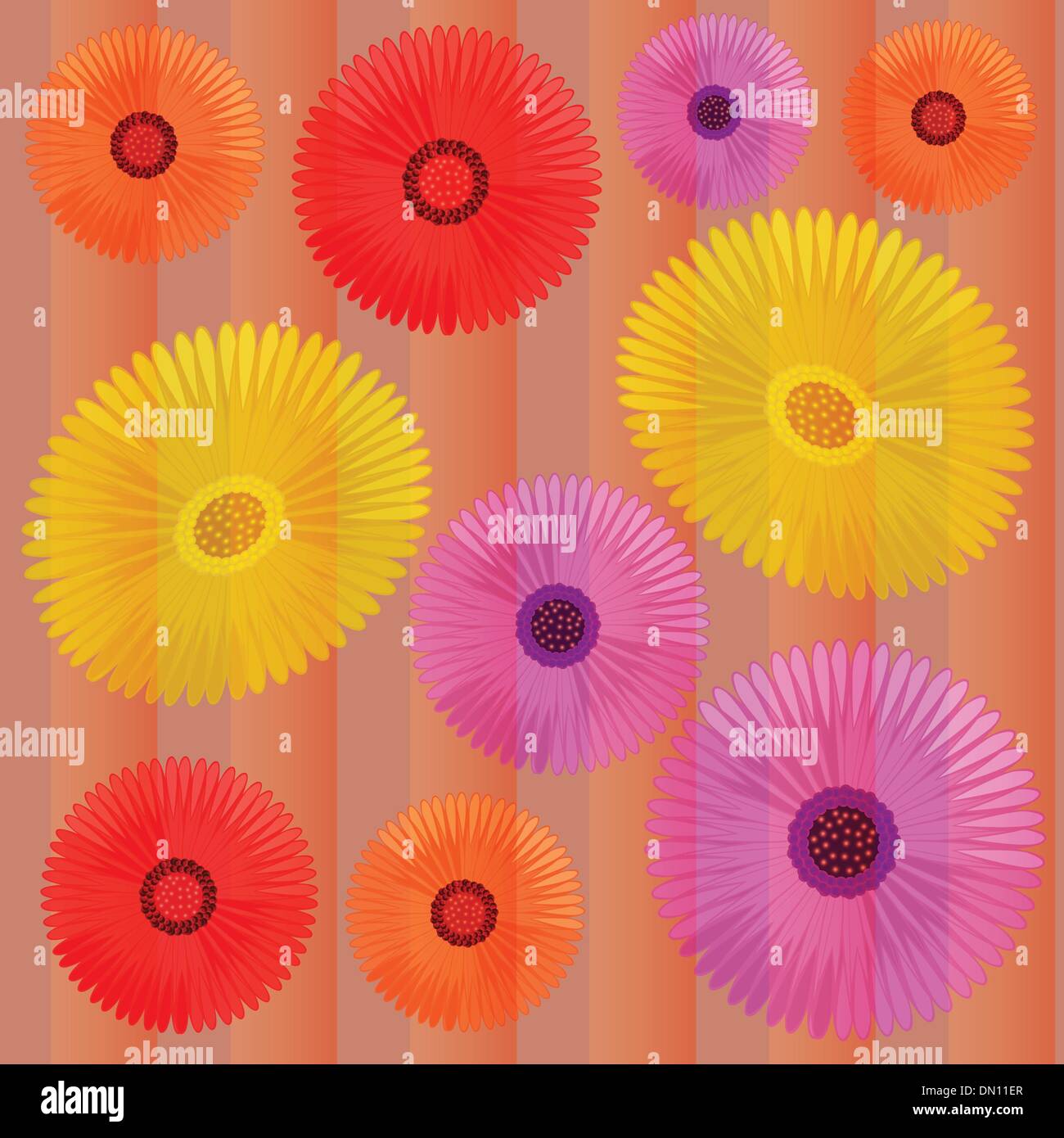 Colorato daisy vettore di fiori Illustrazione Vettoriale