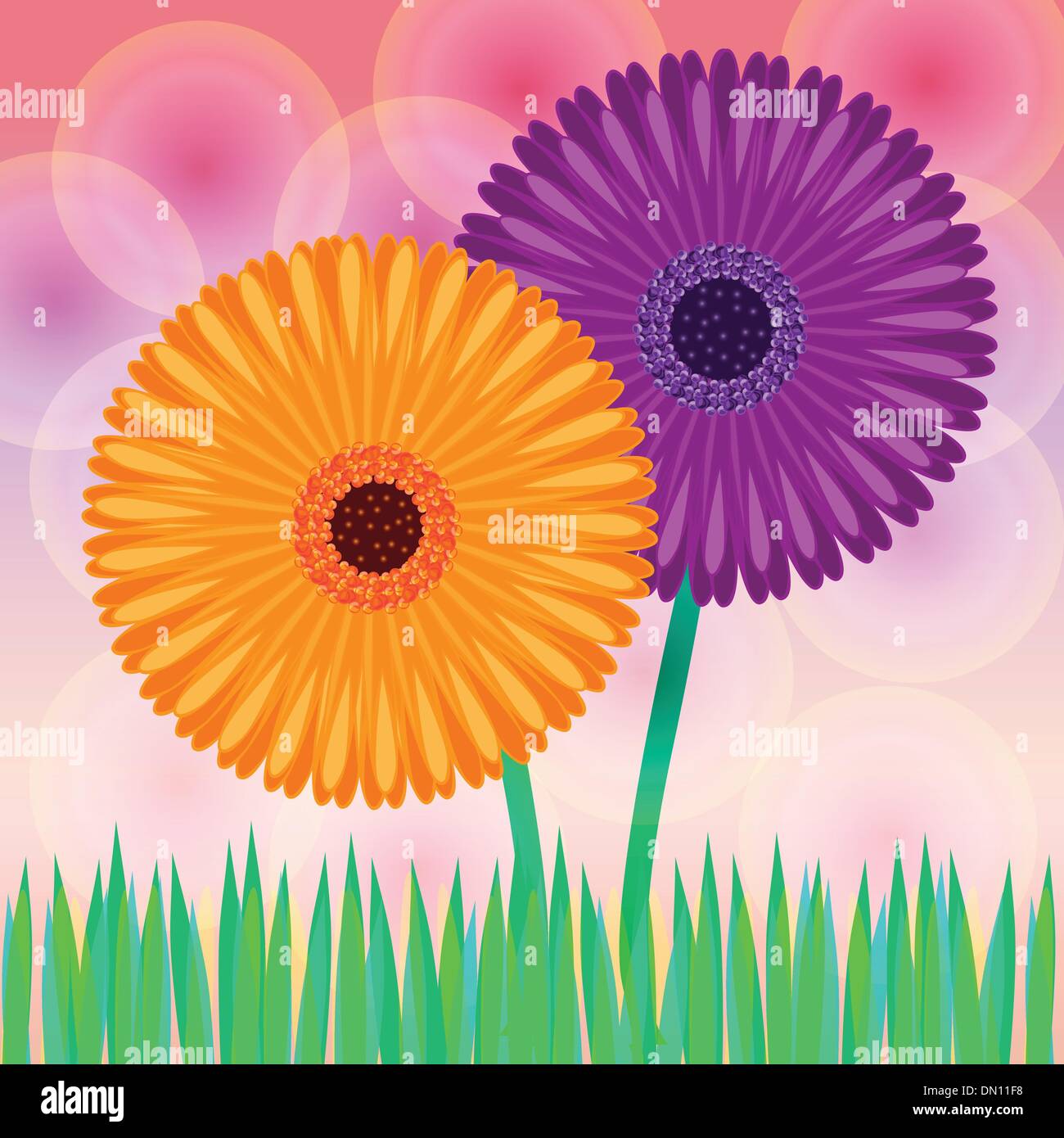 Daisy vettore di fiori Illustrazione Vettoriale